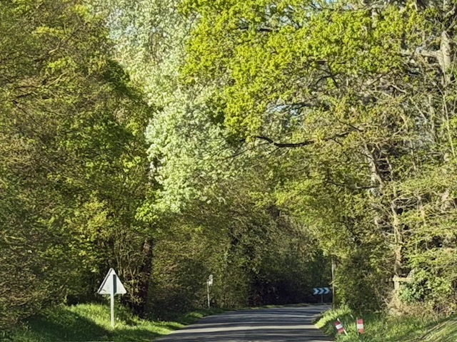 辻村相談窓口、「運気をアップさせたい人へ」