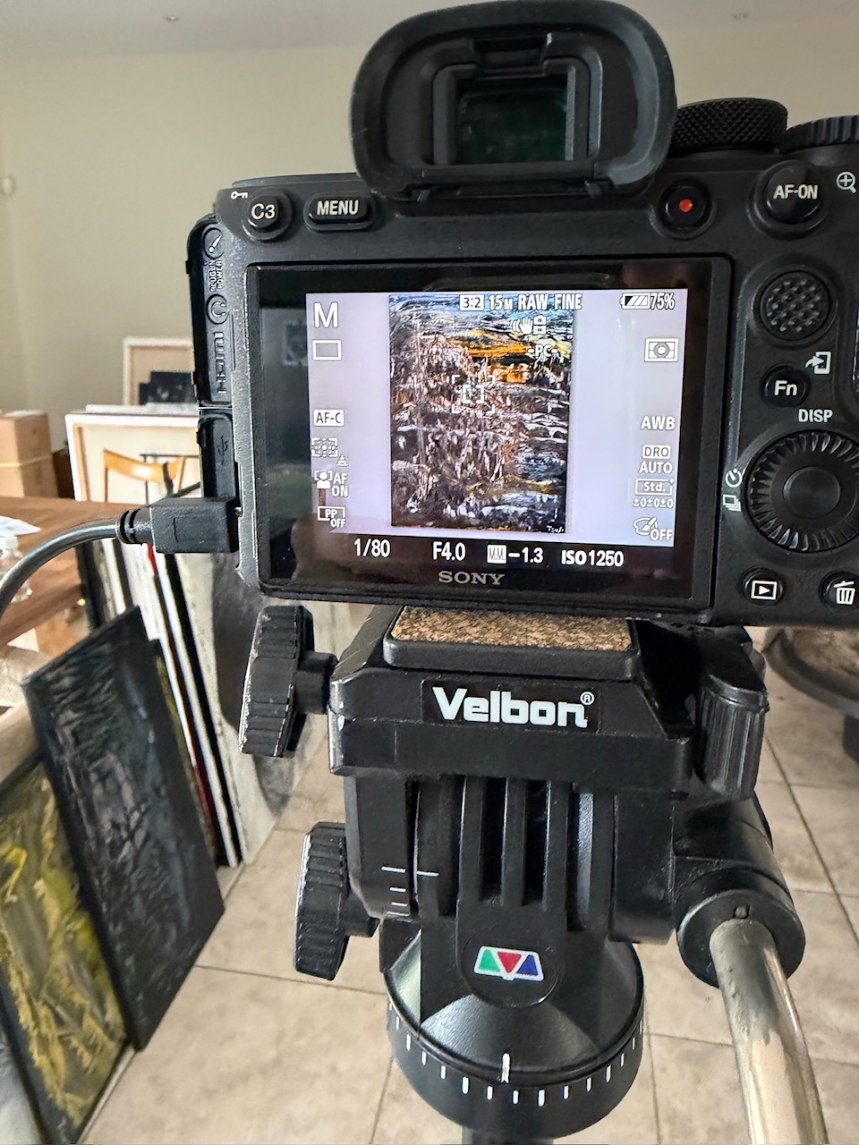 夏の個展に超暗雲、どうする父ちゃん！