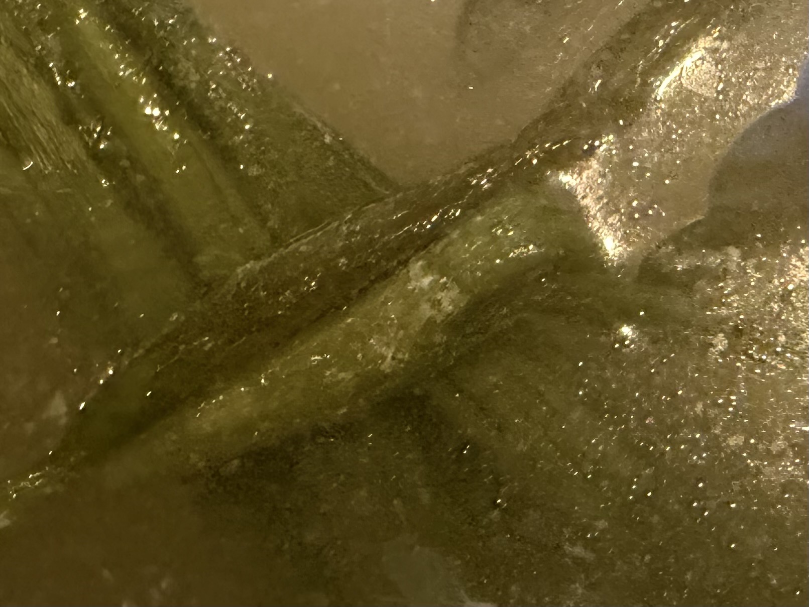 毎日が勝負飯、「棒棒鶏」