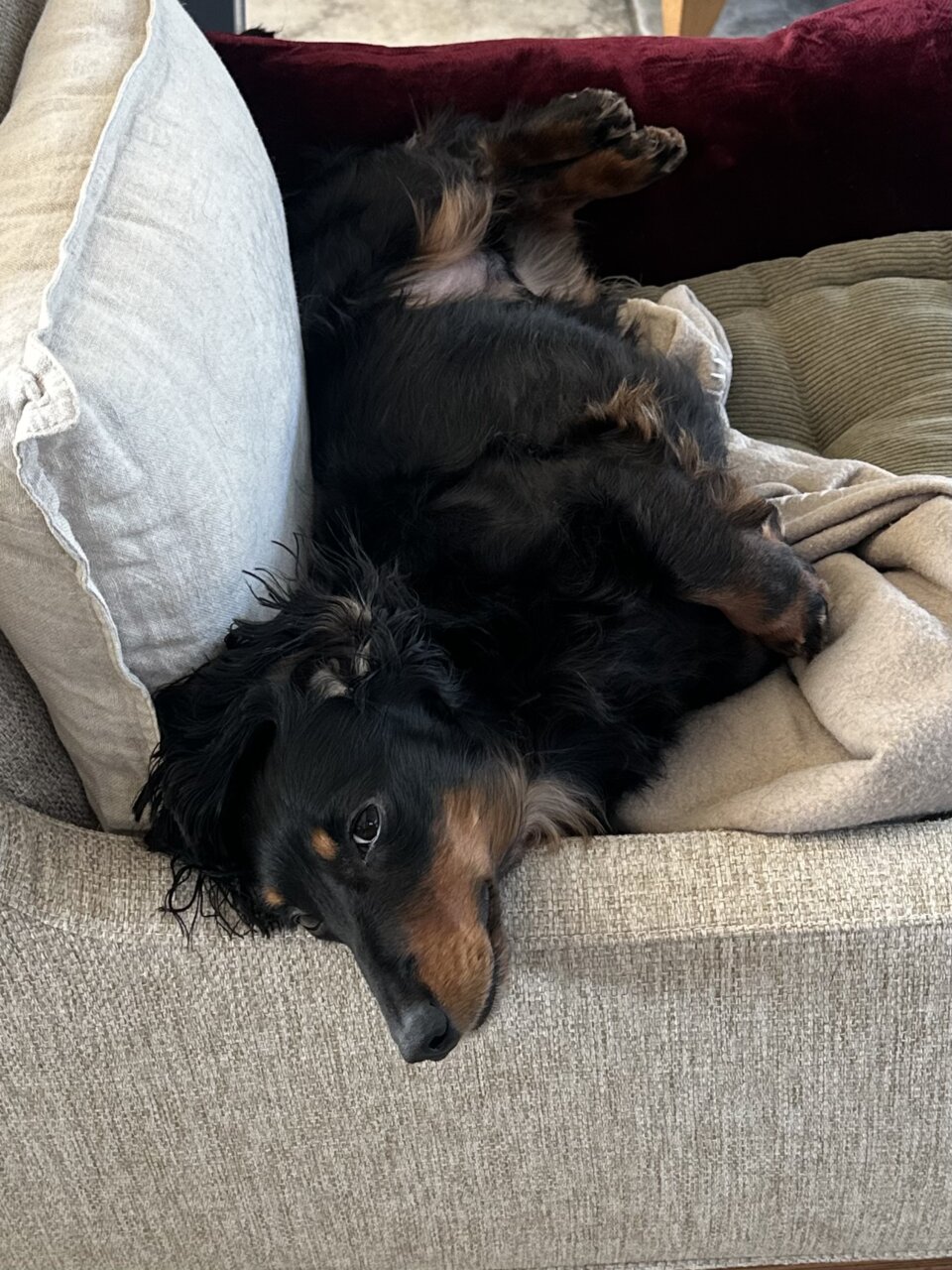 三四郎との対話、1