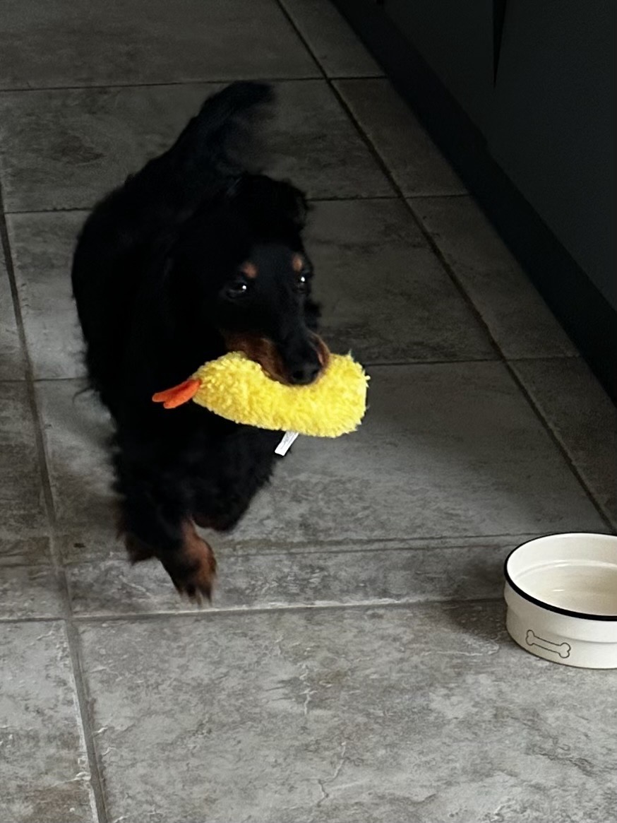 三四郎との対話、1