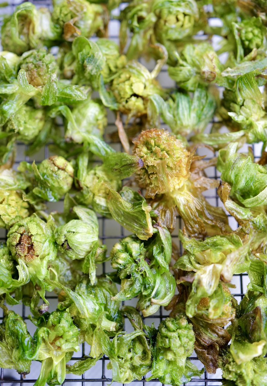 ほろ苦くて甘い蕗のとう味噌の焼きおにぎり