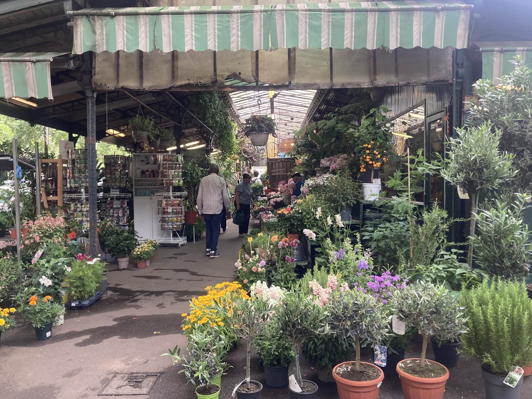 パリ・カルチャー情報「パリ市公式の花市場へ。街かどに受け継がれる花文化 」