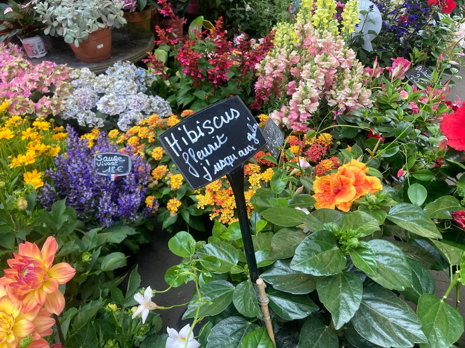 パリ・カルチャー情報「パリ市公式の花市場へ。街かどに受け継がれる花文化 」