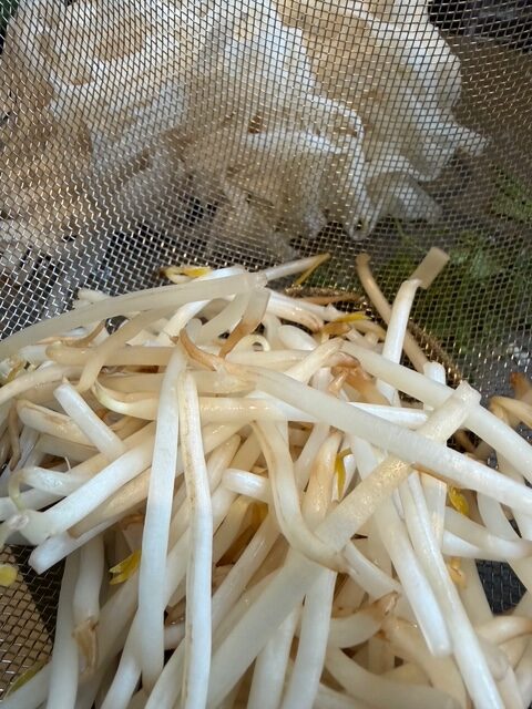 毎日を幸せにする一皿、「手軽なパッタイ」