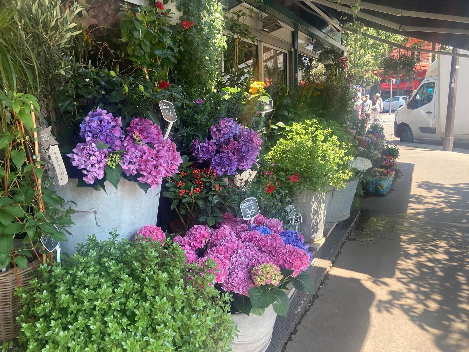 パリ・カルチャー情報「パリ市公式の花市場へ。街かどに受け継がれる花文化 」