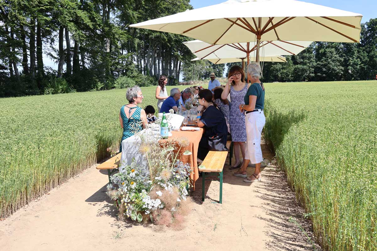 ノルマンディーの亜麻畑で、一期一会の奇妙な食卓