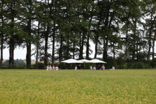 ノルマンディーの亜麻畑で、一期一会の奇妙な食卓