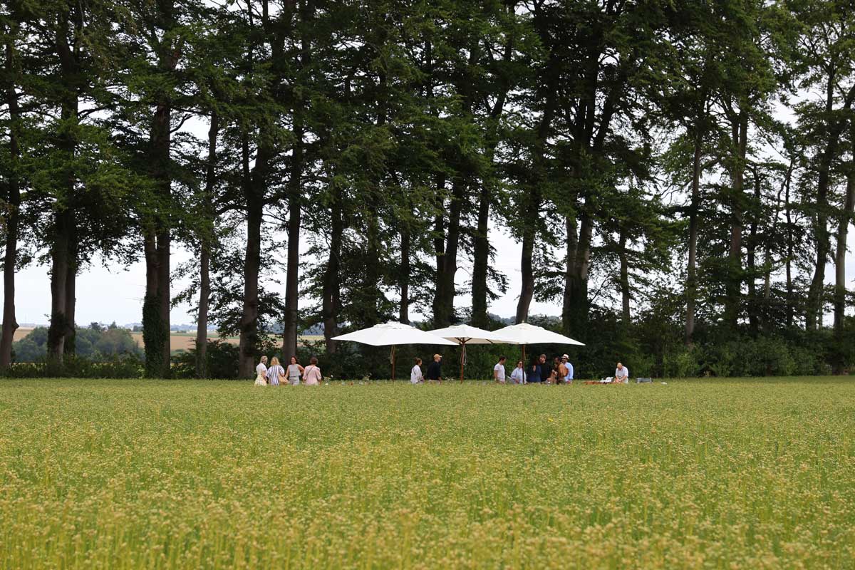 ノルマンディーの亜麻畑で、一期一会の奇妙な食卓