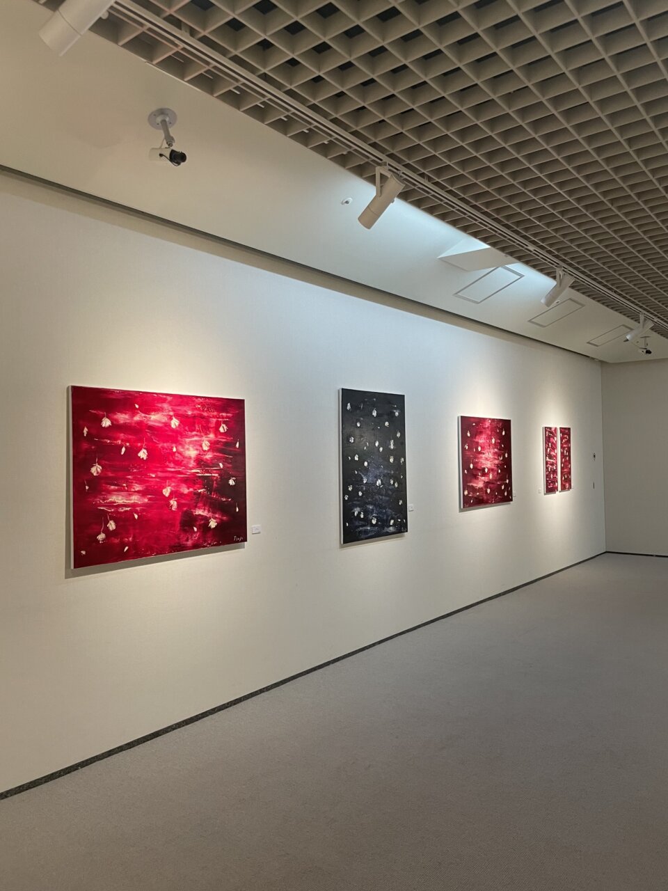 個展会場の設営が完了、まるで美術館!