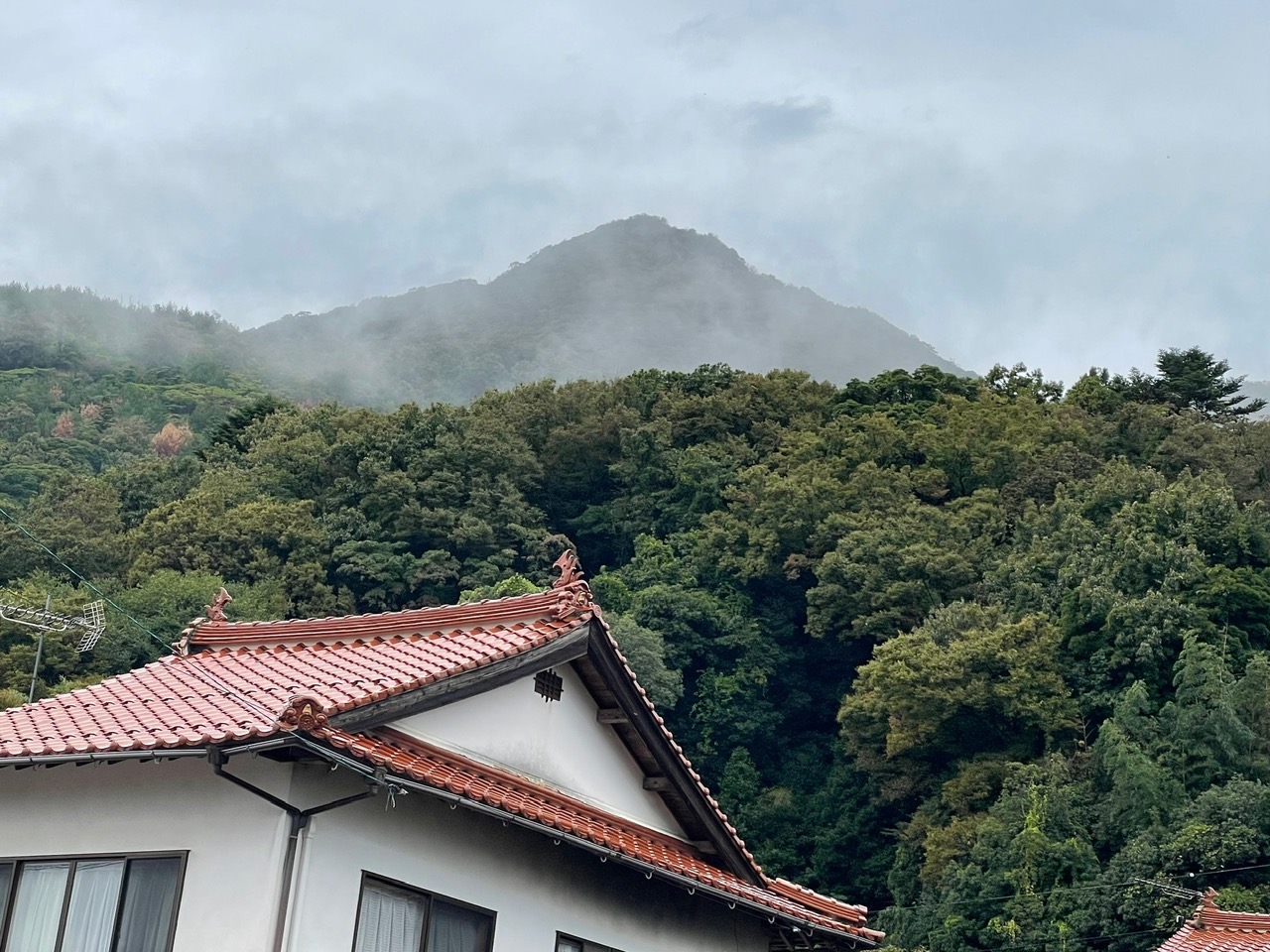 出雲大社、正式参拝